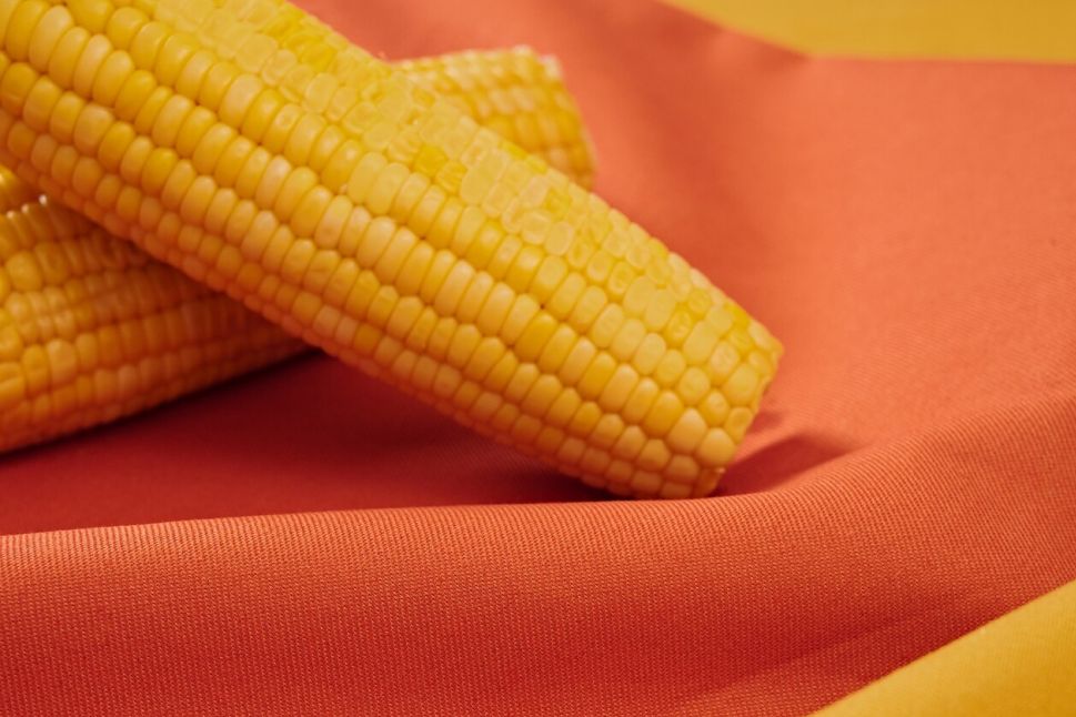 Corn and fabric representing Hyosung’s sustainable plant-based spandex made from bio-materials extracted from corn