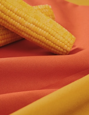 Corn and fabric representing Hyosung’s sustainable plant-based spandex made from bio-materials extracted from corn