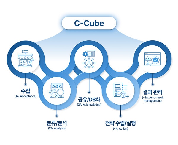 C-cube Project process