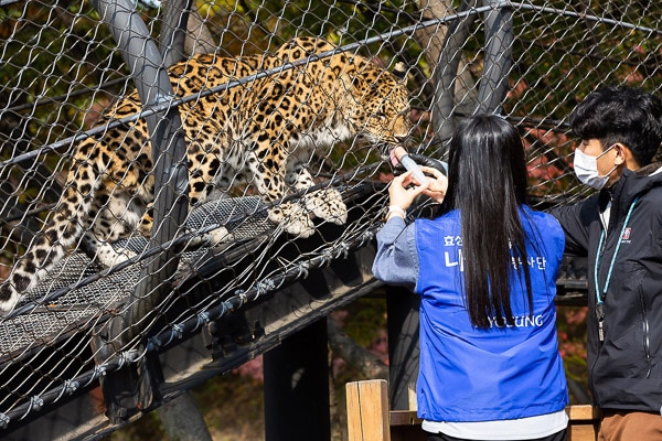 In October 2022, employees of Hyosung Chemicals Oksan Plant engaged in biodiversity conservation activities at Cheongju Zoo.