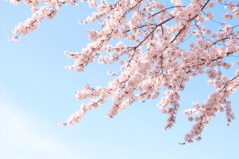 봄에 읽을 책 추천 프로젝트 헤일메리 앤디위어 죽어야 끝나는 야구 환장 라이프 쌍딸 기획자의 독서 김도영 한국 경제성장의 정치경제학 조윤제