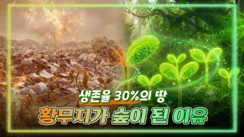 조현준 회장의 ESG 경영 리더십 아래 효성중공업과 협력사 임직원들이 서울 노을공원에서 나무심기와 씨앗 포대 만들기를 통해 생태계 복원과 동반성장 가치를 실천하는 사회공헌 활동 모습.