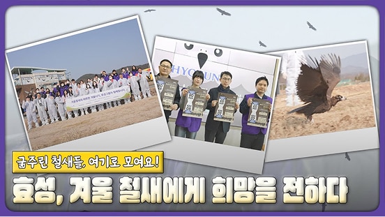 멸종위기의 배고픈 철새들 우리가 지켜요~ 지속가능한 지구를 위한 효성의 철새 보호활동 !