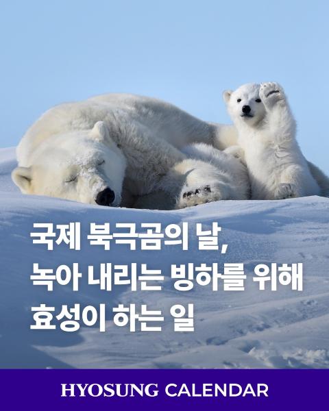 Hyosung TNC transforming abandoned fishing nets into recycled nylon fibers to reduce textile waste pollution